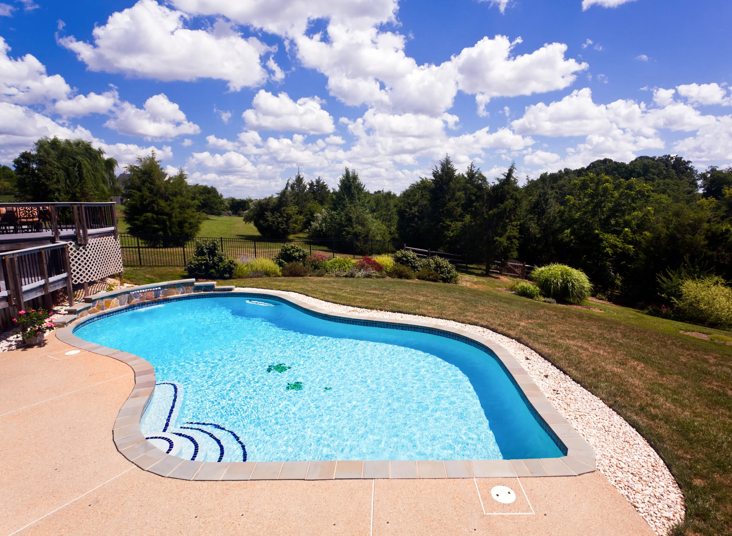 Freeform in-ground backyard swimming pool with light-colored concrete patio, curved entry steps, and landscaped yard under a blue sky.