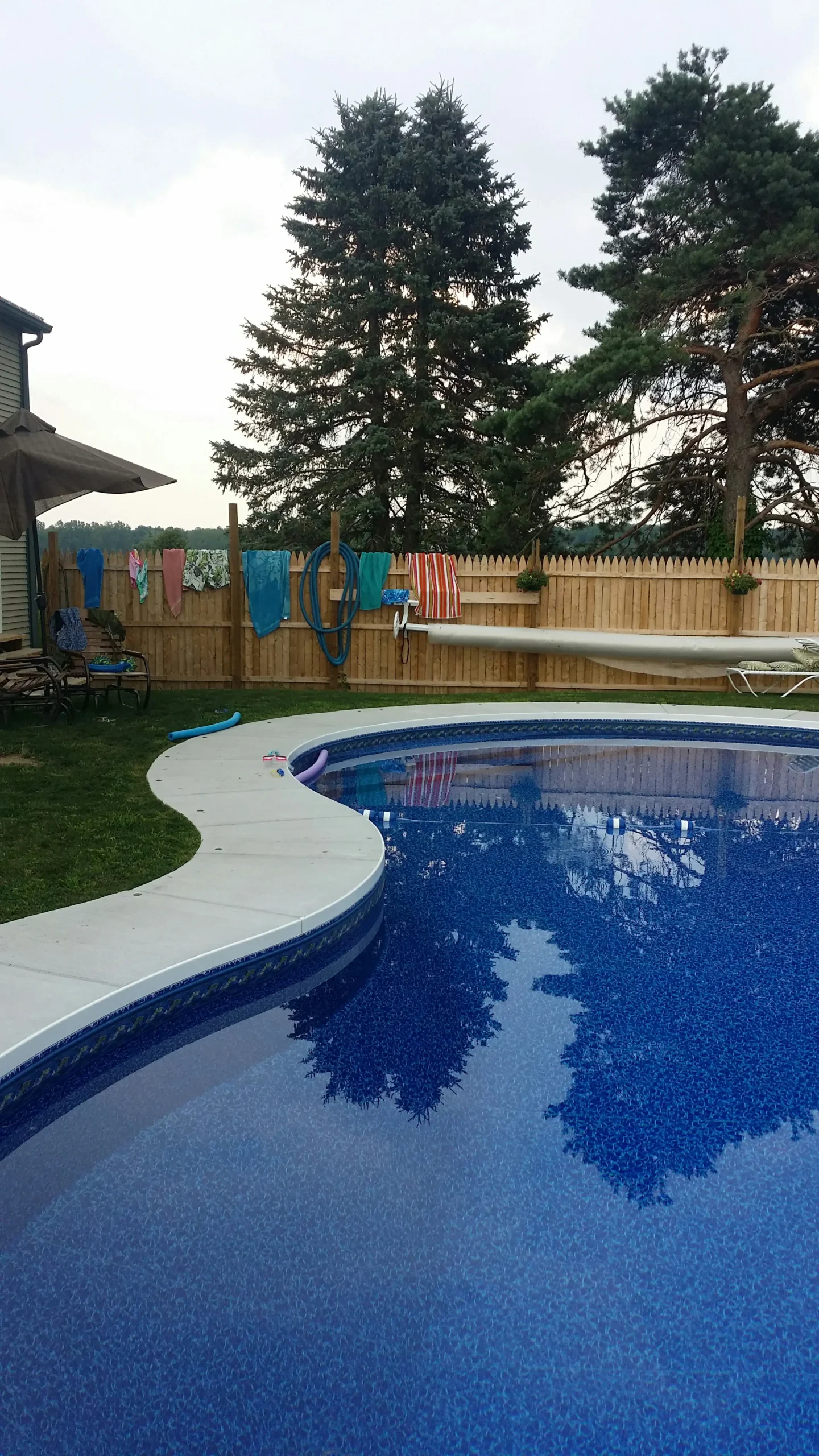 Blue vinyl-liner in-ground swimming pool with curved concrete deck, reflecting tall evergreen trees in the water